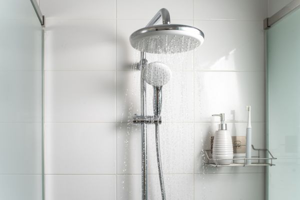 Cost of Shower Conversion Service in Daphne