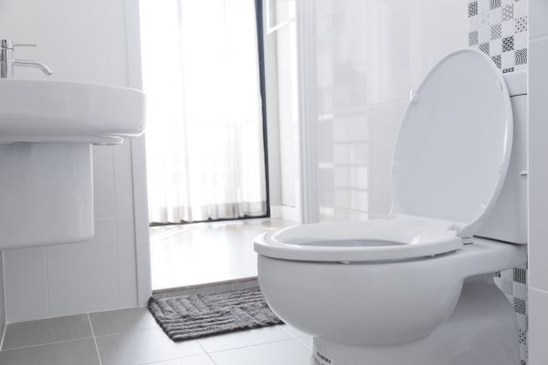 Cost of Toilet Relocation in Daphne